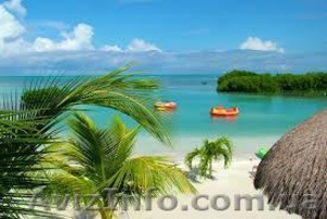 Готовые оффшорные компании в Белизе #1031726