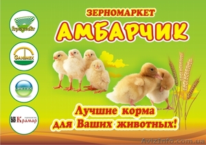 Комбикорма. БМВД. Зерновые. Цыплята бройлера. Утята. Крым #1032265