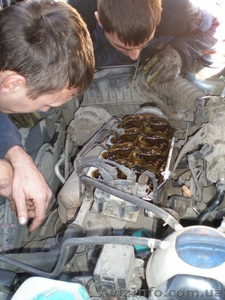 Запчасти  и автосервис  hyundai,  киа,  ланос. Одесса. 0674830902 #1034944