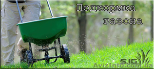 Подкормка газонов;  внесение удобрений под газон   #1037469