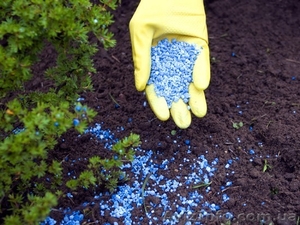 Подкормка и удобрение растений #1040981