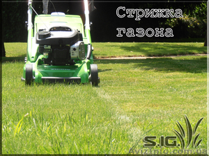 Стрижка газона;  покос травы #1037462