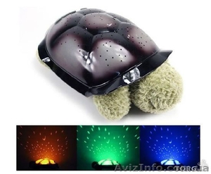 Ночник Черепаха #1038354