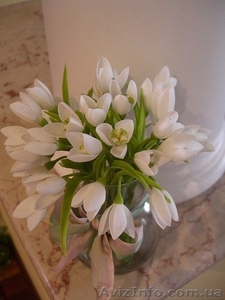 Керамическая флористика Fleur-Семицвет #1034240