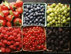 Сбор урожая на фермах в Финляндии #1042009