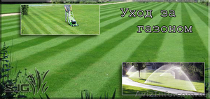 Уход за газоном #1037460