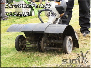 Вычесывание газона;  скарификация газона #1037466