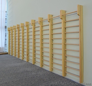 Шведская стенка,  спортинвентарь для школ и учебных заведений #1060634