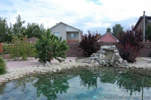 Красивое озеленение Ваших участков в Киеве #1061854