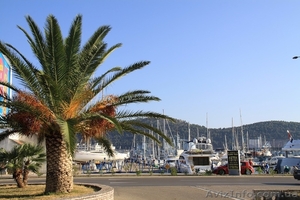 На майские в Черногорию! #1063901