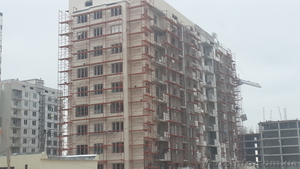 Леса типа «Евро» #1061075