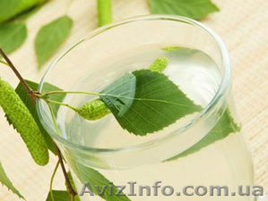 Березовый сок от заготовителей #1051677