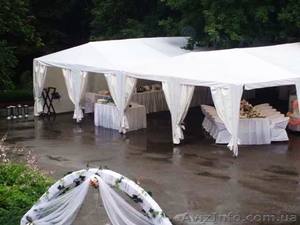 Аренда палаток,  шатров,  зонтов #1050454