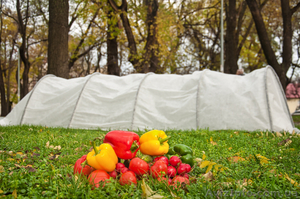 Парник 4 метра,  Купить парник #1065187