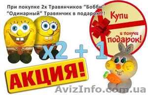 Акция на декоративный газон травянчик Бобби #1061771