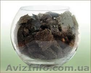 жмых подсолнечный низкопротеиновый #1049707