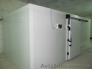 Холодильные камеры для заморозки рыбы #1058533