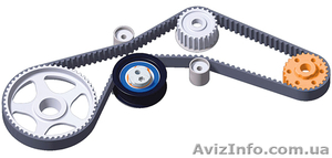 Ремни зубчатые,  клиновые и поликлиновые по оптовым ценам и в розницу #486078
