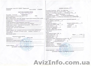 продам семечку,  подсолнечник,  подсолнух,  семена подсолнуха,  семена подсолнечника #1053285