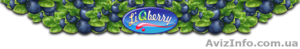 Черничная паста «LiQberry»™ в Днепропетровске #1055361