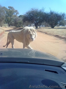 Такси в ЮАР. Йоханнесбург. Претория. #1065312