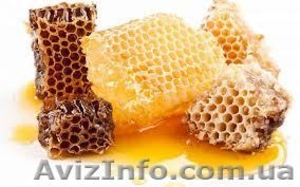 куплю мед натуральний #1065449