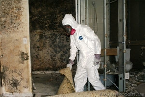 Устранение плесени и сырости в помещениях г. Одесса #1058884