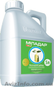 Продам Голд Стар,  ВГ (Трибенурон-метил,  750 г/кг) (Гранстар) #1060127