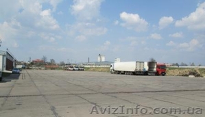 Сдам в аренду площадку открытого типа #1053830