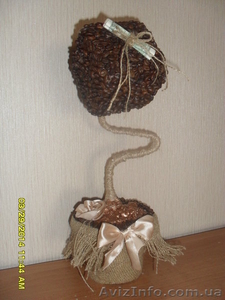 Продам кофейное дерево #1064284