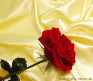 Ткани скатерные #1057721