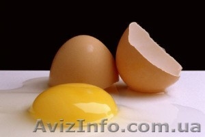 snova.wmeste, l@gmail.com #1066910