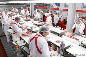  Пакувальник/ца на м'ясокомбінат в Польщу. Терміново!  #1076119