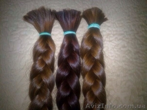Куплю Ваши Волосы за хорошую цену! #1074675