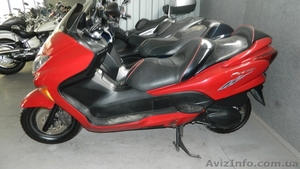 Honda Fofza  250 #1071989