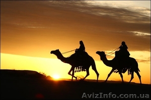 Уроки Арабского языка в Луцке #1072648