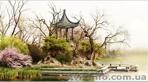 Перевод китайского языка #1081377