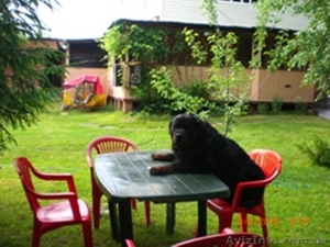 Сдам для отдыха уютную дачу в Святогорске и квартиру  в  центре. #213633