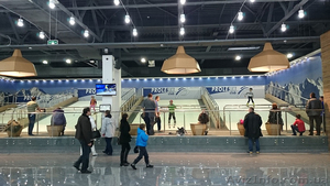 Горнолыжный тренажер Proleski: горные лыжи круглый год,  франшиза #1082766