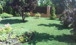 Ландшафтний дизайн та автополив #1068372