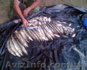 Продаем Samus 725 mp #1080561