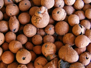 Керамзит (Сад камня) #1072146