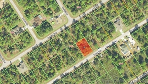Участок для строительства,  Port Charlotte,  FLORIDA, США #1076807
