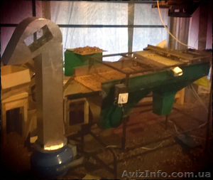 Орех грецкий переработка,  орехокол,  полный цикл #1068566