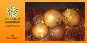 Глумов Дмитрий,  @-mail: Dar_Zemli@bk.ru,  +38 099 048 49 46 #1072193