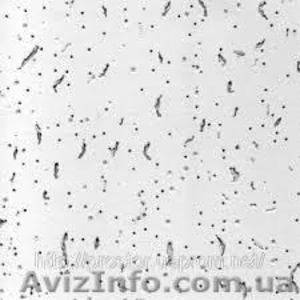 Подвесной потолок 