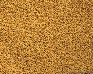 Продам Суданку, Горчицу, Експерцет #1073181