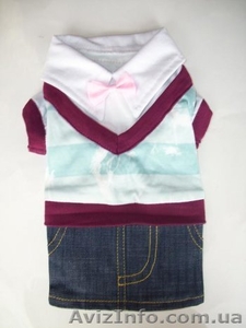 Платья для собак и кошек! #1067378