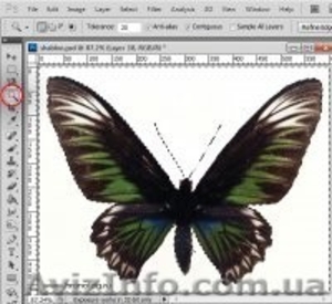 Курсы CorelDRAW #1068636