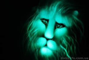 Рисунки светом/Световое шоу #1082412